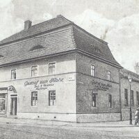 Halle Mohr